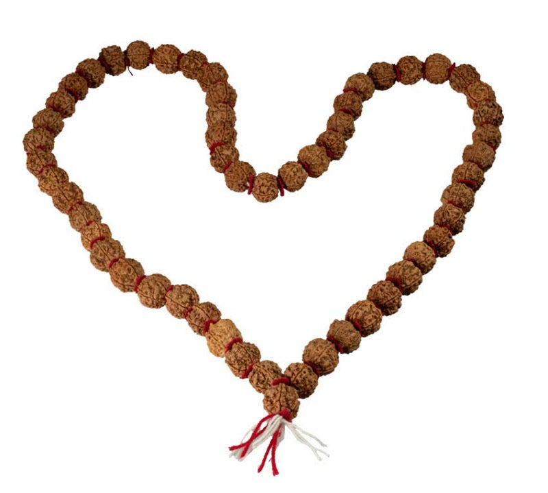 Collier Mala Népalais en Rudraksha Guru Khanta – 54 Perles 20/22 mm