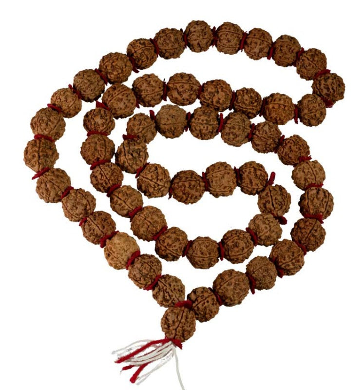 Collier Mala Népalais en Rudraksha Guru Khanta – 54 Perles 20/22 mm