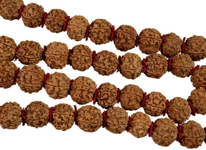 Collier Mala Népalais en Rudraksha Guru Khanta – 54 Perles 20/22 mm