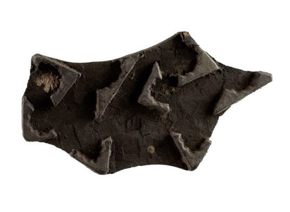 Ancien Tampon Indien En Bois Sculpté – Motif Ornemental Du Rajasthan