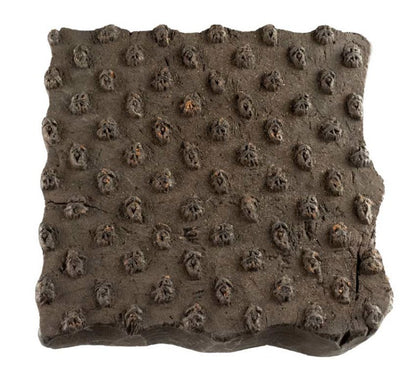 Tampon Indien Ancien en Bois du Rajasthan – Block Print Motif Ornemental
