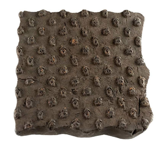 Tampon Indien Ancien en Bois du Rajasthan – Block Print Motif Ornemental