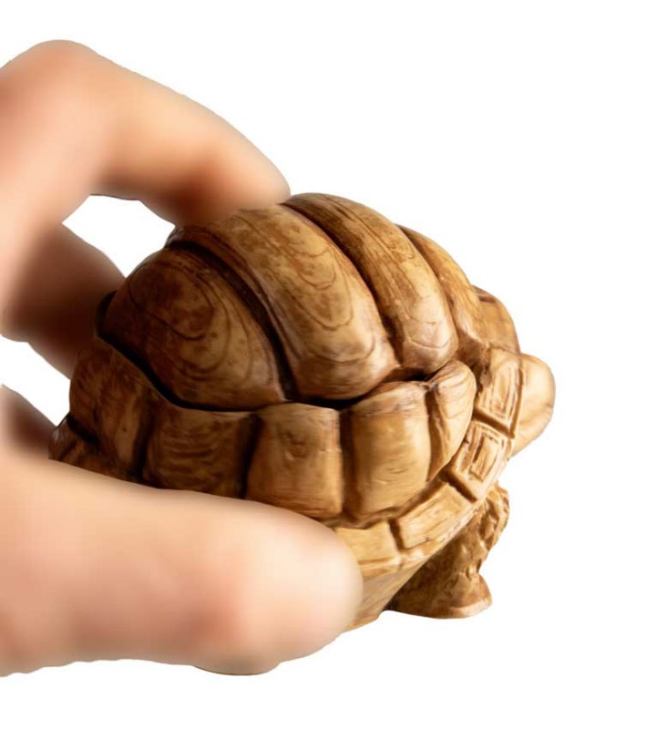 Boîte Tortue En Résine – Boîte À Bijoux Décorative Du Népal