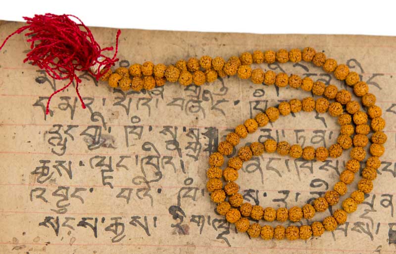Mala Tibétain en Graines de Rudraksha 4,5/5,5 mm – Chapelet de Prières Népalais