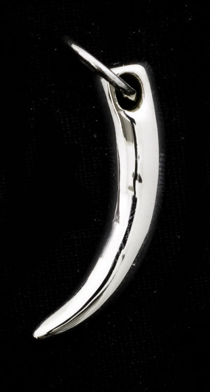 Pendentif Griffe de Tigre Unisexe en Argent 925