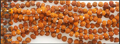 Mala Rosaire en Graines de Rudraksha Authentiques 6 mm – Chapelet Tibétain